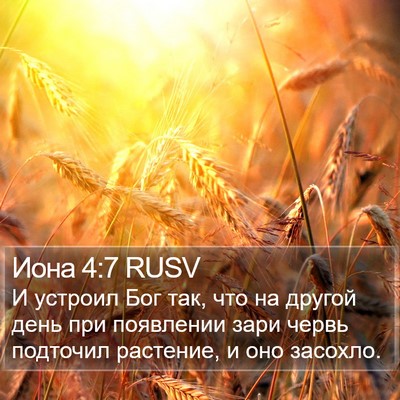Иона 4:7 RUSV Bible Verse Image