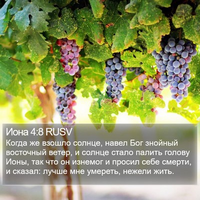 Иона 4:8 RUSV Bible Verse Image