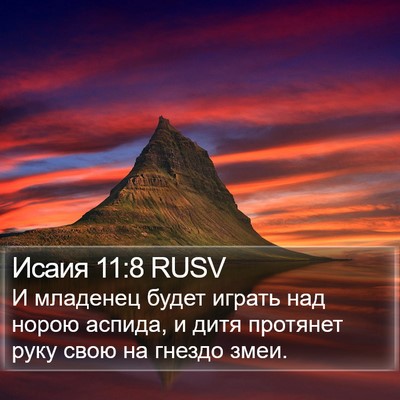 Исаия 11:8 RUSV Bible Verse Image
