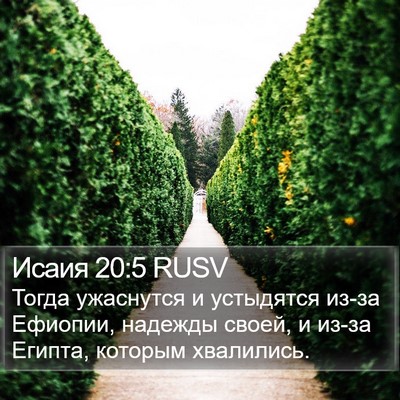 Исаия 20:5 RUSV Bible Verse Image
