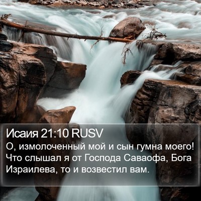 Исаия 21:10 RUSV Bible Verse Image