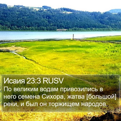Исаия 23:3 RUSV Bible Verse Image