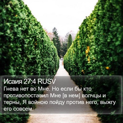 Исаия 27:4 RUSV Bible Verse Image