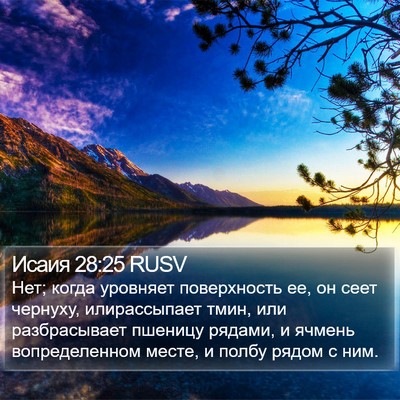 Исаия 28:25 RUSV Bible Verse Image