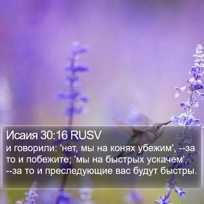 Исаия 30:16 RUSV Bible Verse Image