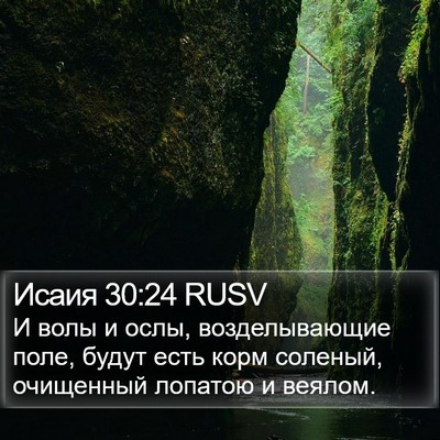 Исаия 30:24 RUSV Bible Verse Image