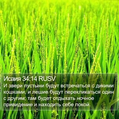 Исаия 34:14 RUSV Bible Verse Image
