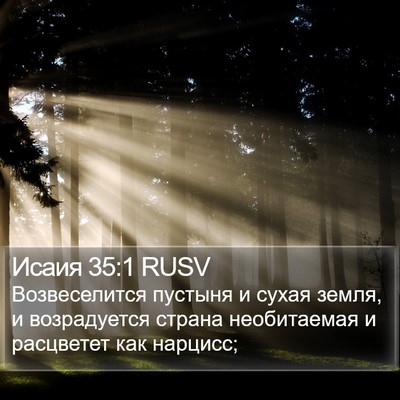 Исаия 35:1 RUSV Bible Verse Image