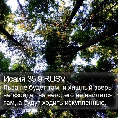 Исаия 35:9 RUSV Bible Verse Image