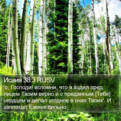 Исаия 38:3 RUSV Bible Verse Image
