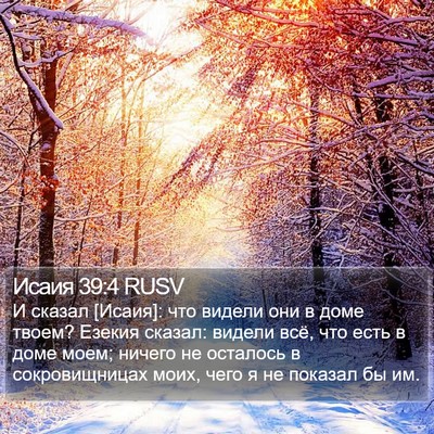 Исаия 39:4 RUSV Bible Verse Image