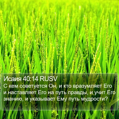 Исаия 40:14 RUSV Bible Verse Image