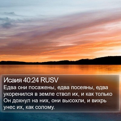 Исаия 40:24 RUSV Bible Verse Image