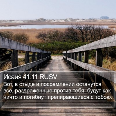 Исаия 41:11 RUSV Bible Verse Image