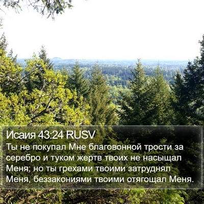 Исаия 43:24 RUSV Bible Verse Image