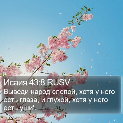 Исаия 43:8 RUSV Bible Verse Image