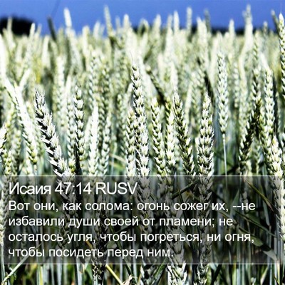 Исаия 47:14 RUSV Bible Verse Image