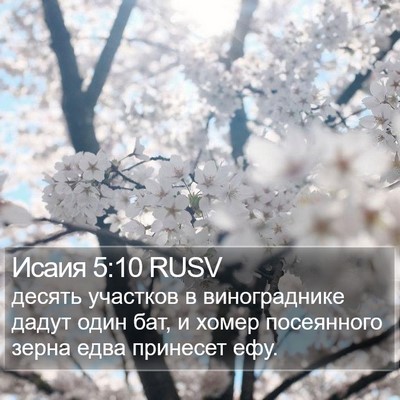 Исаия 5:10 RUSV Bible Verse Image