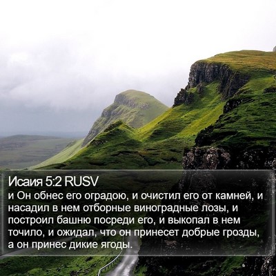 Исаия 5:2 RUSV Bible Verse Image