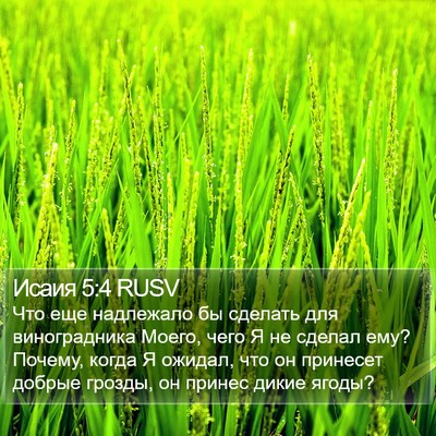 Исаия 5:4 RUSV Bible Verse Image