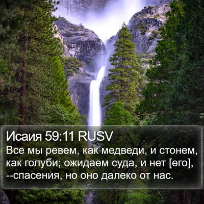 Исаия 59:11 RUSV Bible Verse Image