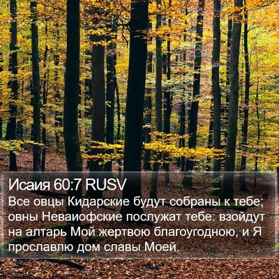 Исаия 60:7 RUSV Bible Verse Image