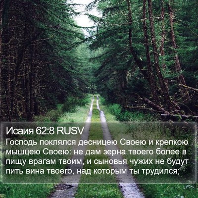 Исаия 62:8 RUSV Bible Verse Image