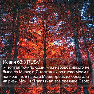 Исаия 63:3 RUSV Bible Verse Image