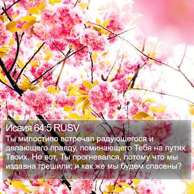 Исаия 64:5 RUSV Bible Verse Image