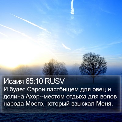 Исаия 65:10 RUSV Bible Verse Image