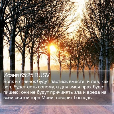 Исаия 65:25 RUSV Bible Verse Image