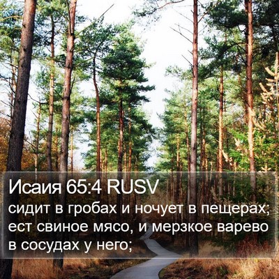 Исаия 65:4 RUSV Bible Verse Image