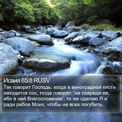 Исаия 65:8 RUSV Bible Verse Image