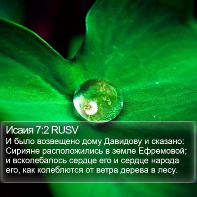 Исаия 7:2 RUSV Bible Verse Image