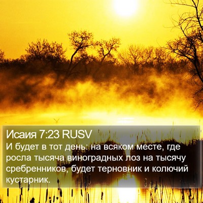Исаия 7:23 RUSV Bible Verse Image