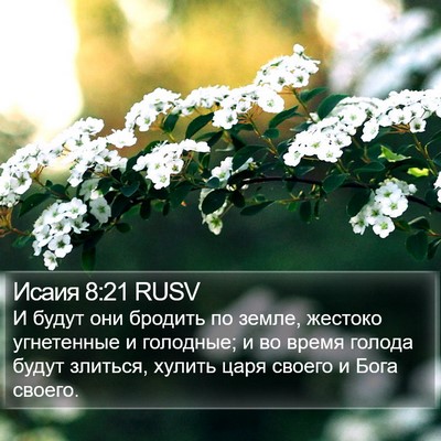 Исаия 8:21 RUSV Bible Verse Image