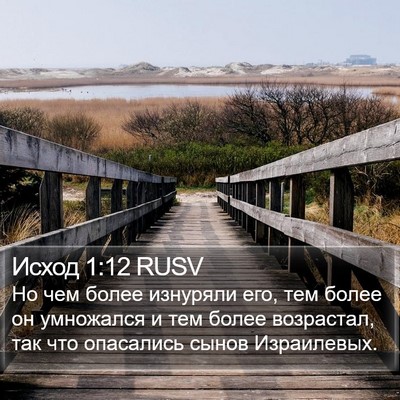 Исход 1:12 RUSV Bible Verse Image