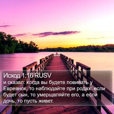 Исход 1:16 RUSV Bible Verse Image