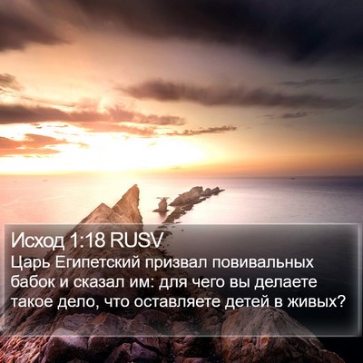 Исход 1:18 RUSV Bible Verse Image