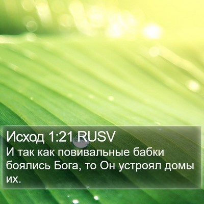 Исход 1:21 RUSV Bible Verse Image