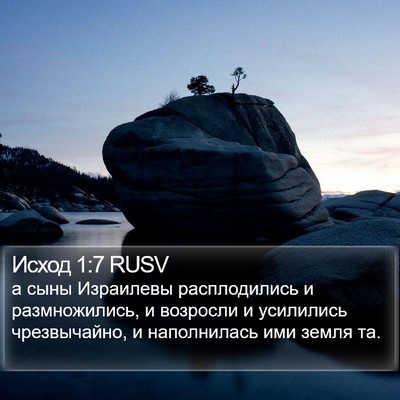 Исход 1:7 RUSV Bible Verse Image