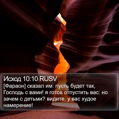Исход 10:10 RUSV Bible Verse Image