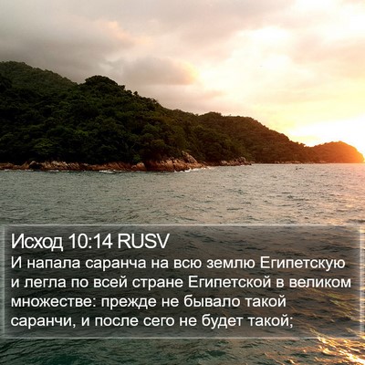 Исход 10:14 RUSV Bible Verse Image