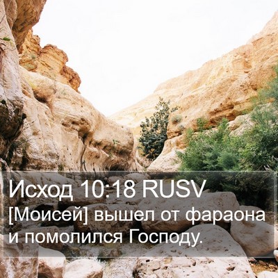 Исход 10:18 RUSV Bible Verse Image