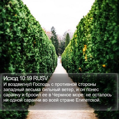 Исход 10:19 RUSV Bible Verse Image