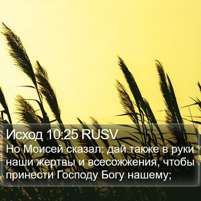 Исход 10:25 RUSV Bible Verse Image