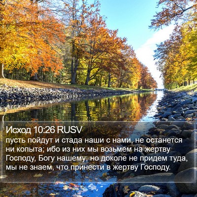 Исход 10:26 RUSV Bible Verse Image