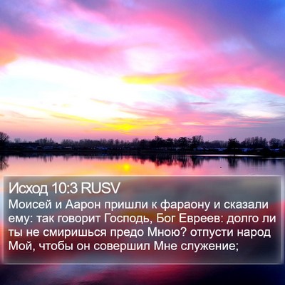 Исход 10:3 RUSV Bible Verse Image