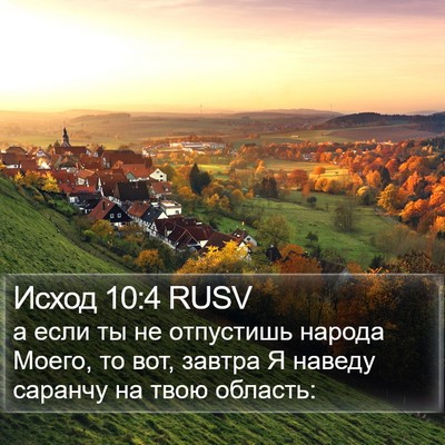 Исход 10:4 RUSV Bible Verse Image