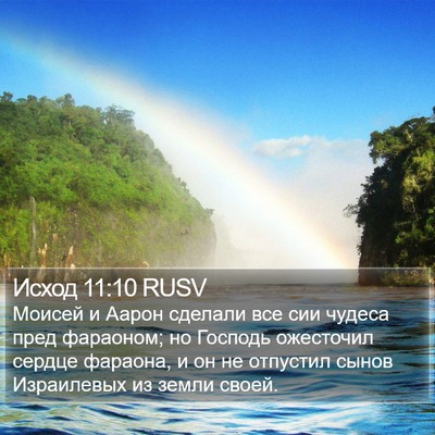 Исход 11:10 RUSV Bible Verse Image